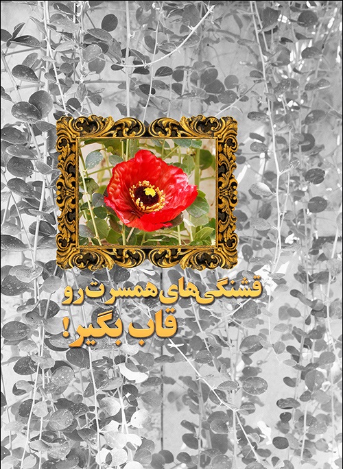 سبک زندگی 22