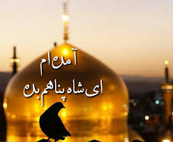 امام رضا ع