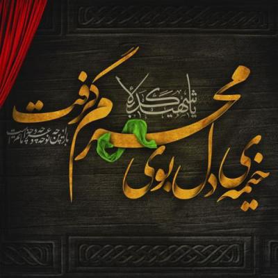 عکس-پیشواز-محرم-8