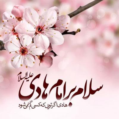 هادی