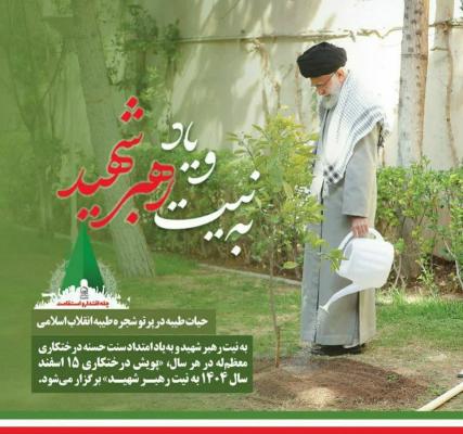 مشارکت در درختکاری